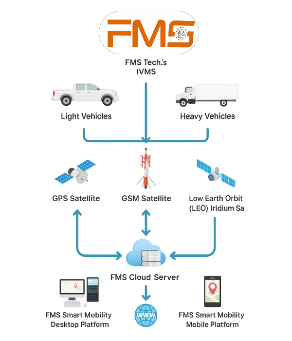 FMS Diagram